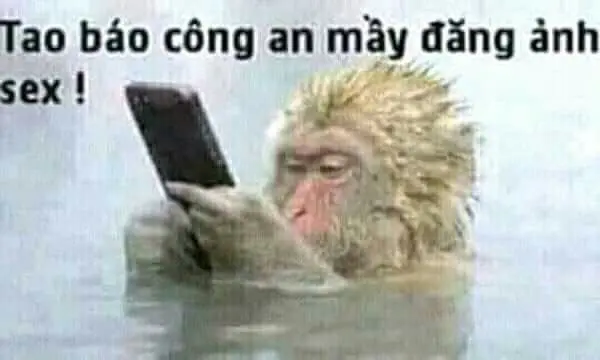 [HOT] Top 99+ tao báo công an mày đăng ảnh sex mới nhất