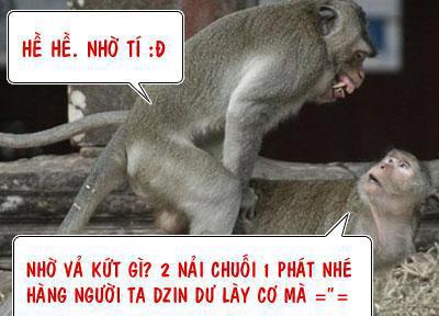 [HOT] Top 99+ ảnh sex hài hước mới nhất
