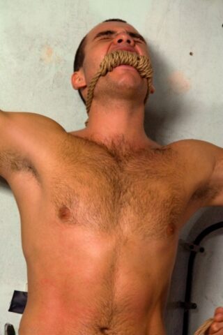 Bound Gods starring Antonio Rinaldi, Renato Dellagio Porn Pics