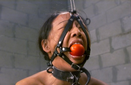 Gagged Asian Kelana gets her tits whipped while restrained in a ball & chain