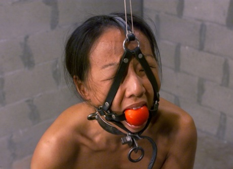 Gagged Asian Kelana gets her tits whipped while restrained in a ball & chain