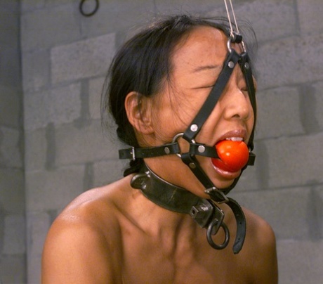 Gagged Asian Kelana gets her tits whipped while restrained in a ball & chain