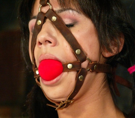 Wired Pussy performed by Nadia Styles Porn Photos