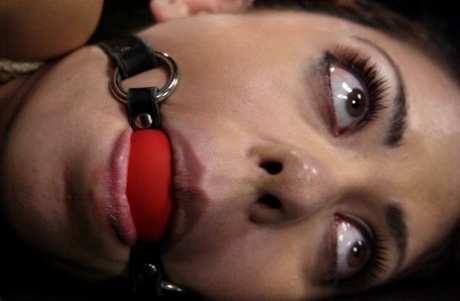Wired Pussy featuring Satine Phoenix Naked Gallery