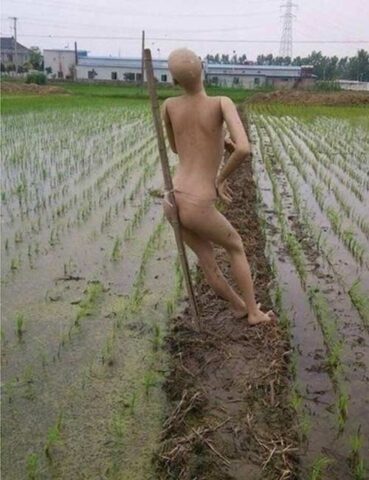 [HOT] Top 99+ ảnh sex hài hước mới nhất