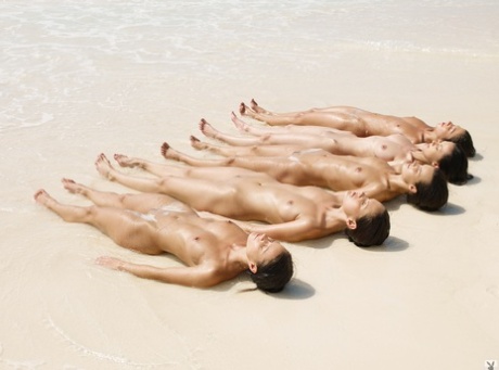 A gaggle of super sexy centerfolds posing naked & tribbing hotly at the beach