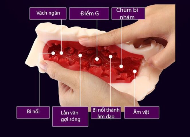 Cận cảnh cấu trúc ruột 3D màu đỏ với gân bi nổi của âm đạo giả Leten AD52A mô phỏng âm đạo thật