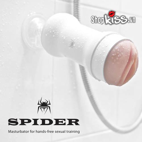 Âm đạo Spider gắn tường DC45 tại tphcm