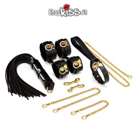Bộ đồ chơi bạo dâm bằng da đẳng cấp thượng lưu QT15 giá bao nhiêu