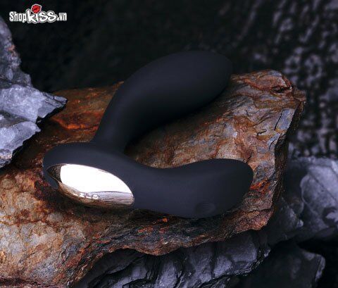 Máy rung mát xa hậu môn cao cấp Lelo Bruno DC85G giá tốt mua ở đâu