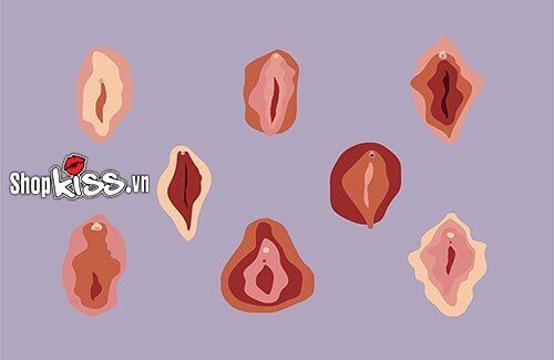 Bướm Con Gái Như Thế Nào Là Đẹp và Hấp Dẫn?