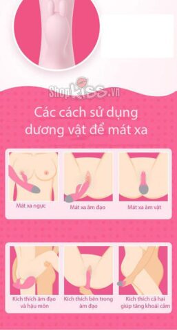 Hướng dẫn các bước sử dụng dương vật giả Leten Faye DV66