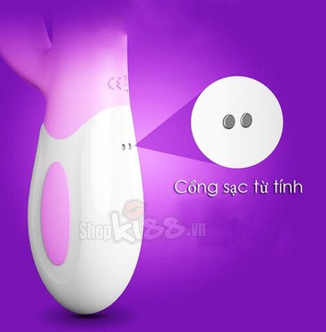 Cổng sạc từ tính hiện đại, chống nước trên dương vật Leten Swing DV72