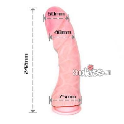 Kích thước chi tiết của dương vật giả DV26B: chiều dài 24.2cm và đường kính lớn 6cm