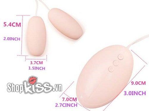 Bản vẽ chi tiết kích thước trứng rung đôi Dual Head Vibration DC59D nhỏ gọn