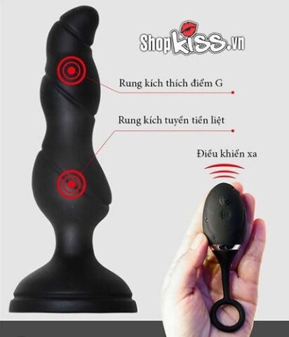 Tổng thể máy rung hậu môn HM12 và remote điều khiển từ xa màu đen