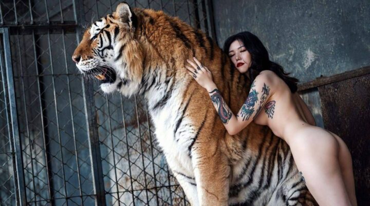 Khỏa thân bên chúa sơn lâm