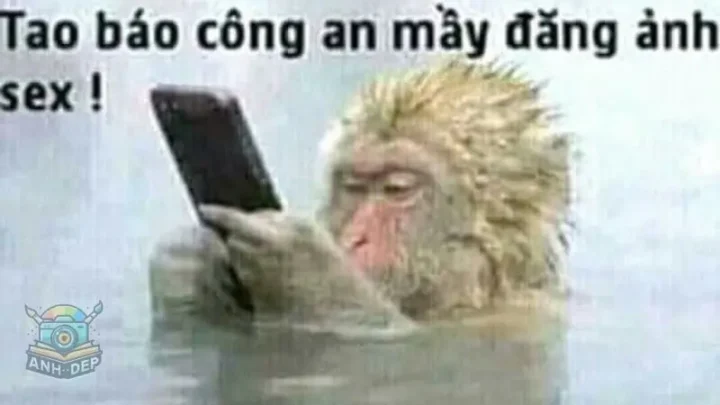 [HOT] Top 99+ tao báo công an mày đăng ảnh sex mới nhất