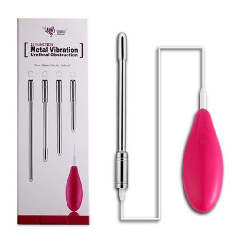 Trọn bộ sản phẩm thanh rung kích thích niệu đạo DC11D bao gồm thanh rung và bộ điều khiển