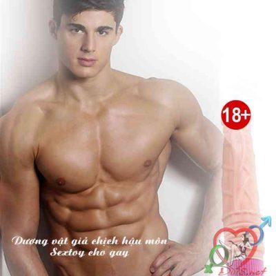 Top 10 dụng cụ sextoy cho gay hot nhất 2020