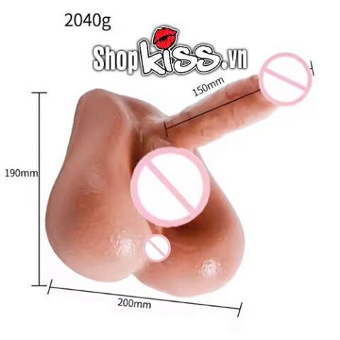 Kích thước chi tiết của dương vật giả ngồi MAIG kèm hậu môn