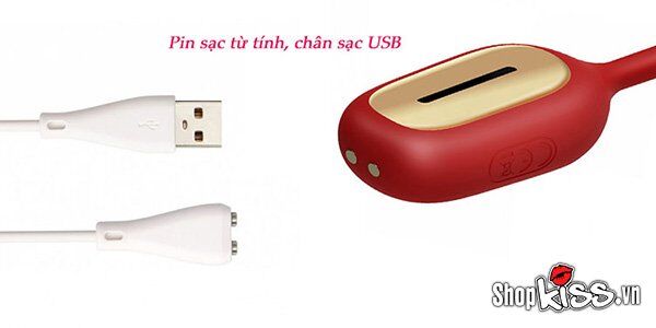 Cận cảnh cổng sạc USB từ tính của trứng rung Svakom MUSE DC89X
