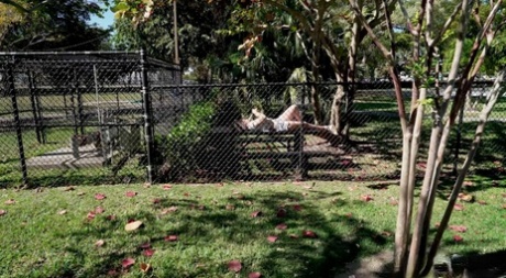 71615567_024_c04e Brunette hitchhiker Kourtney Kai has hardcore sex with a hung stud in his car